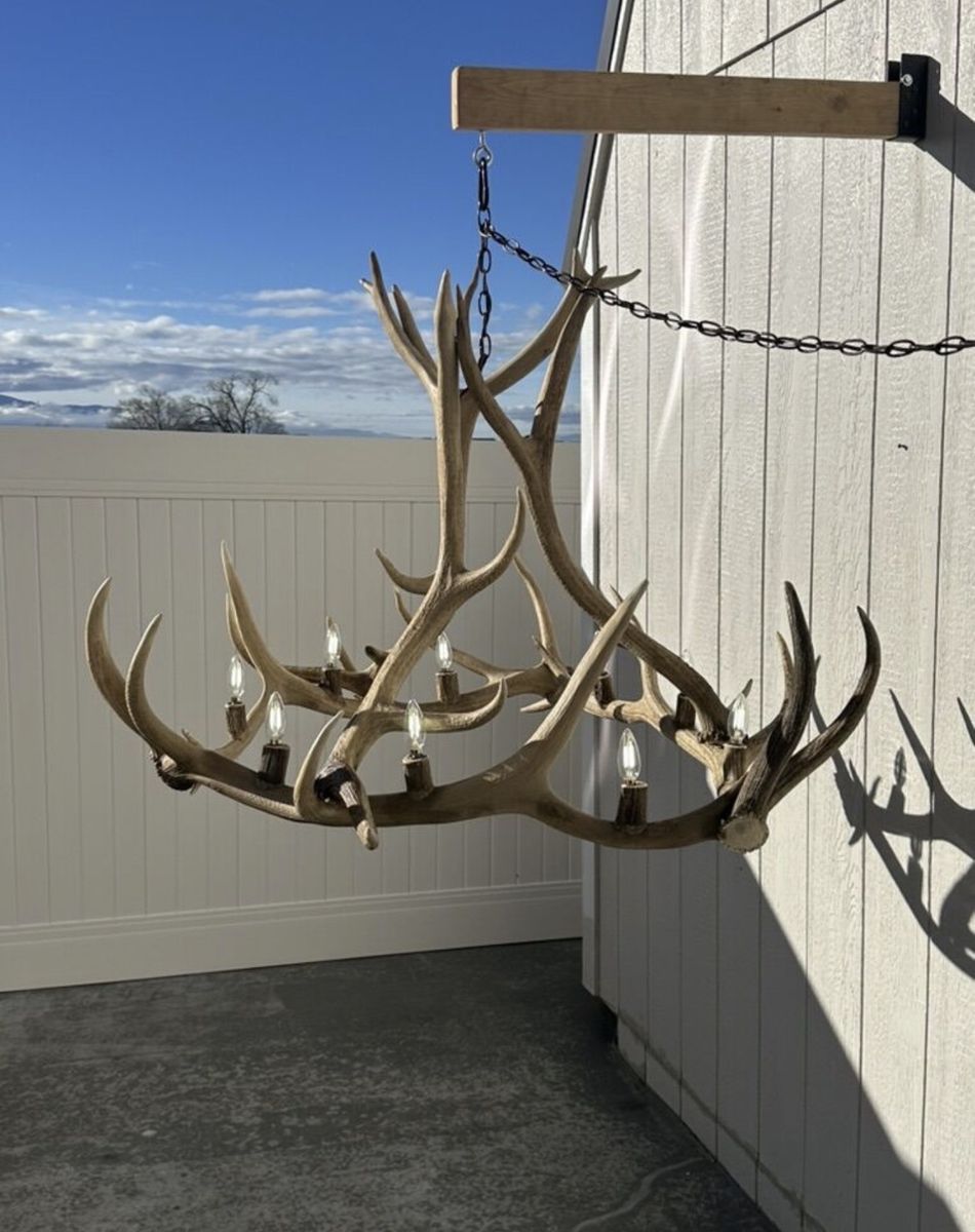 Elk Antler Chandelier