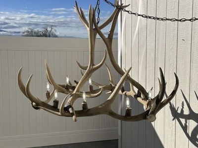 Elk Antler Chandelier