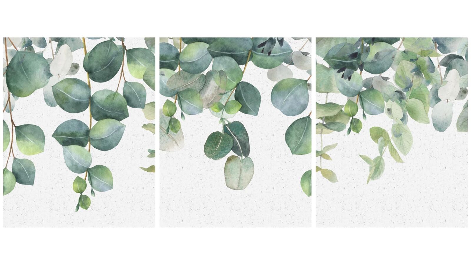 3 Piece - 16" x 20" Eucalyptus Botanical Canvas Wrapped Wall Art