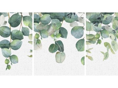 3 Piece - 16" x 20" Eucalyptus Botanical Canvas Wrapped Wall Art