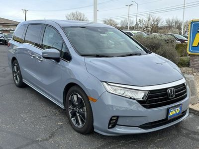 2023 Honda Odyssey Elite