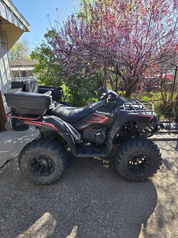 2009 Kawasaki Brute Force 650 4x4i
