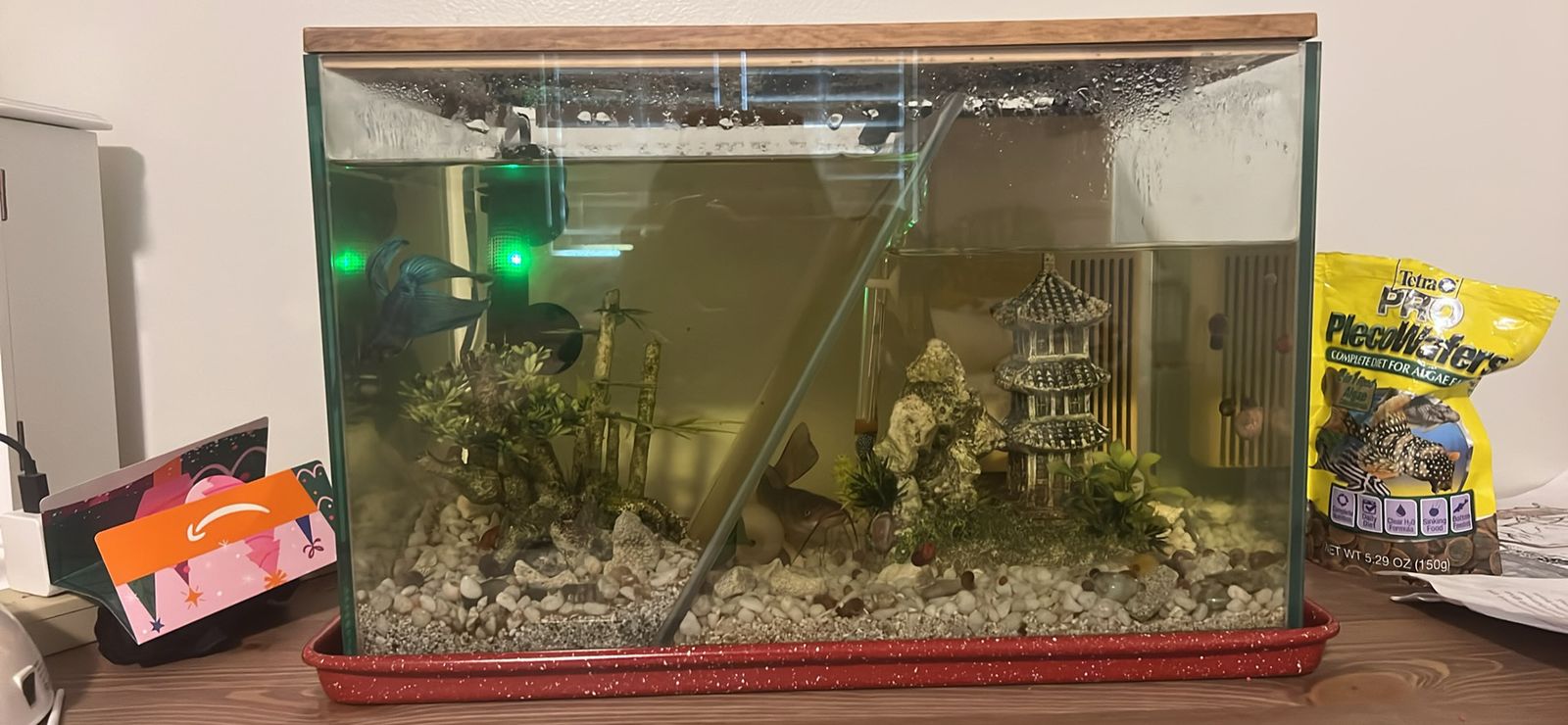 Beta fish, double tank, food and filters