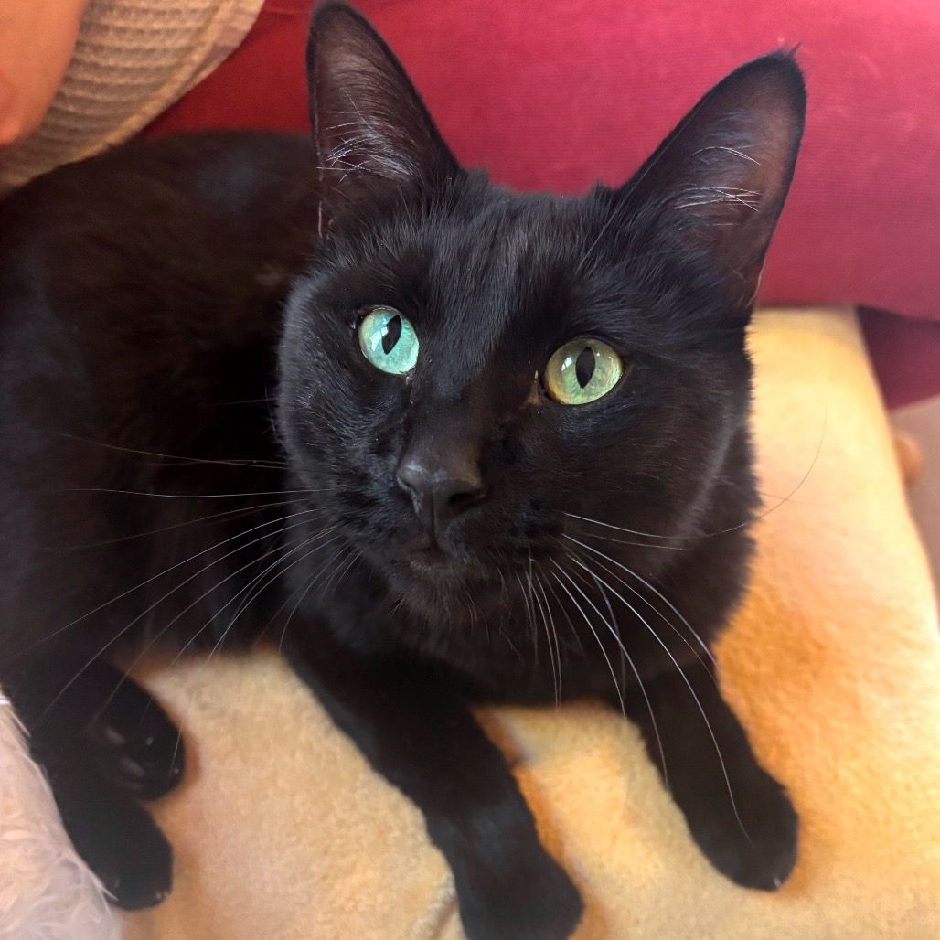 Hello my name is Tony