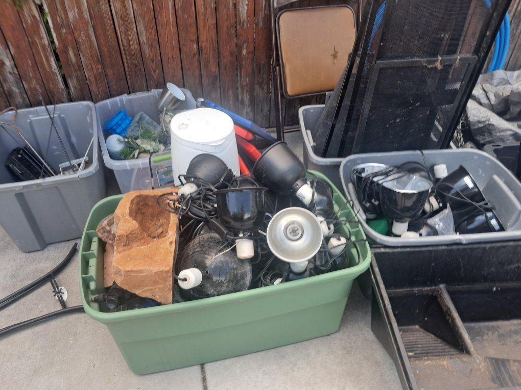 Main image 3