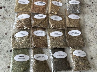 Herbal Apothecary Collection: 16 Dried Herbs for Spells, Wellness, and Home Remedies