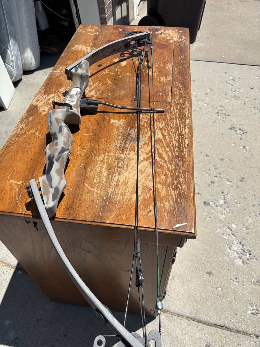 Compound Bow