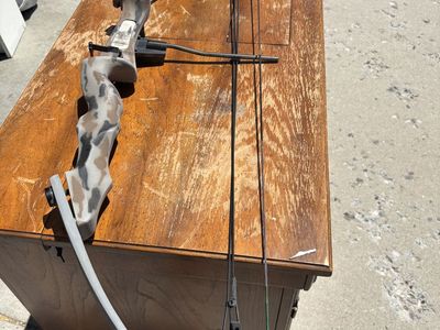 Compound Bow