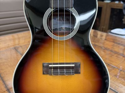 Kala Uke Like The Pros Concert Ukulele