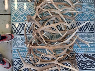 Elk and Deer Sheds