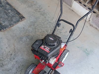 briggs and Stratton lawn edger