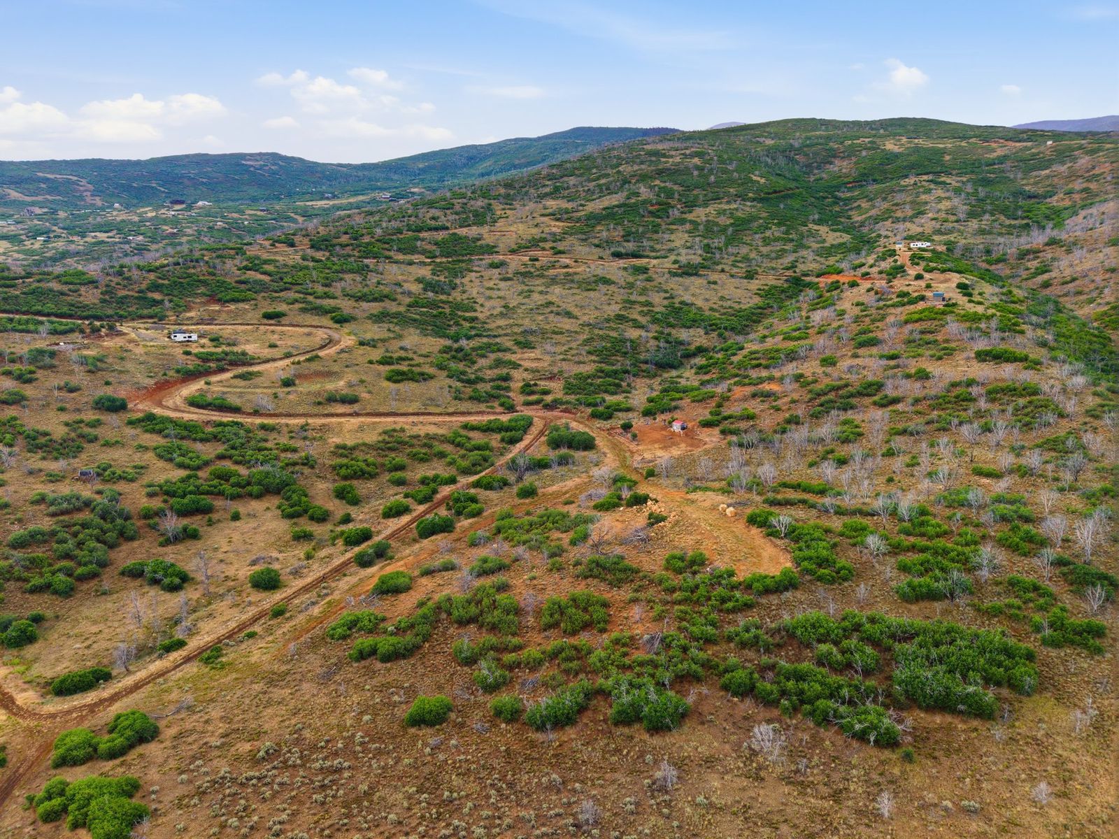 Main image 6