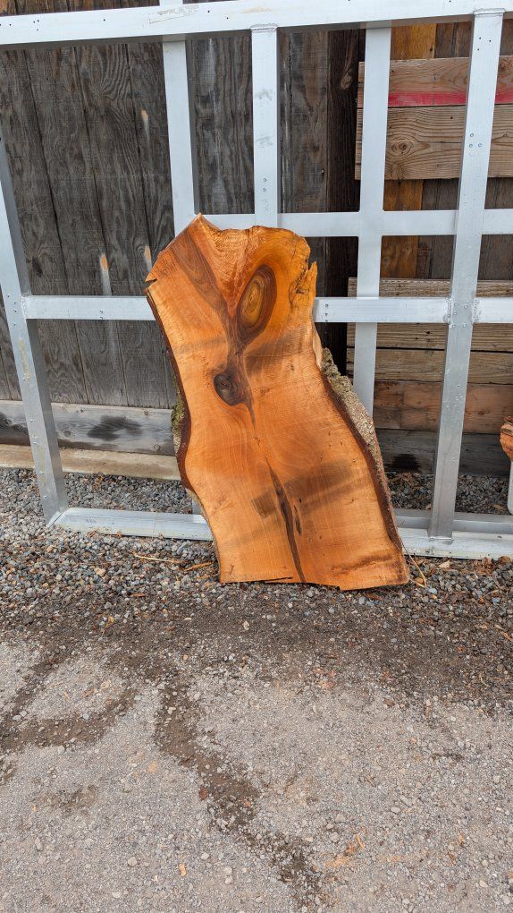 English Walnut slab