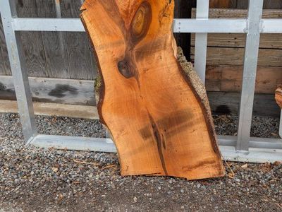 English Walnut slab