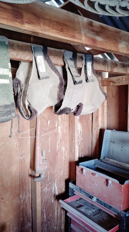 horse tack