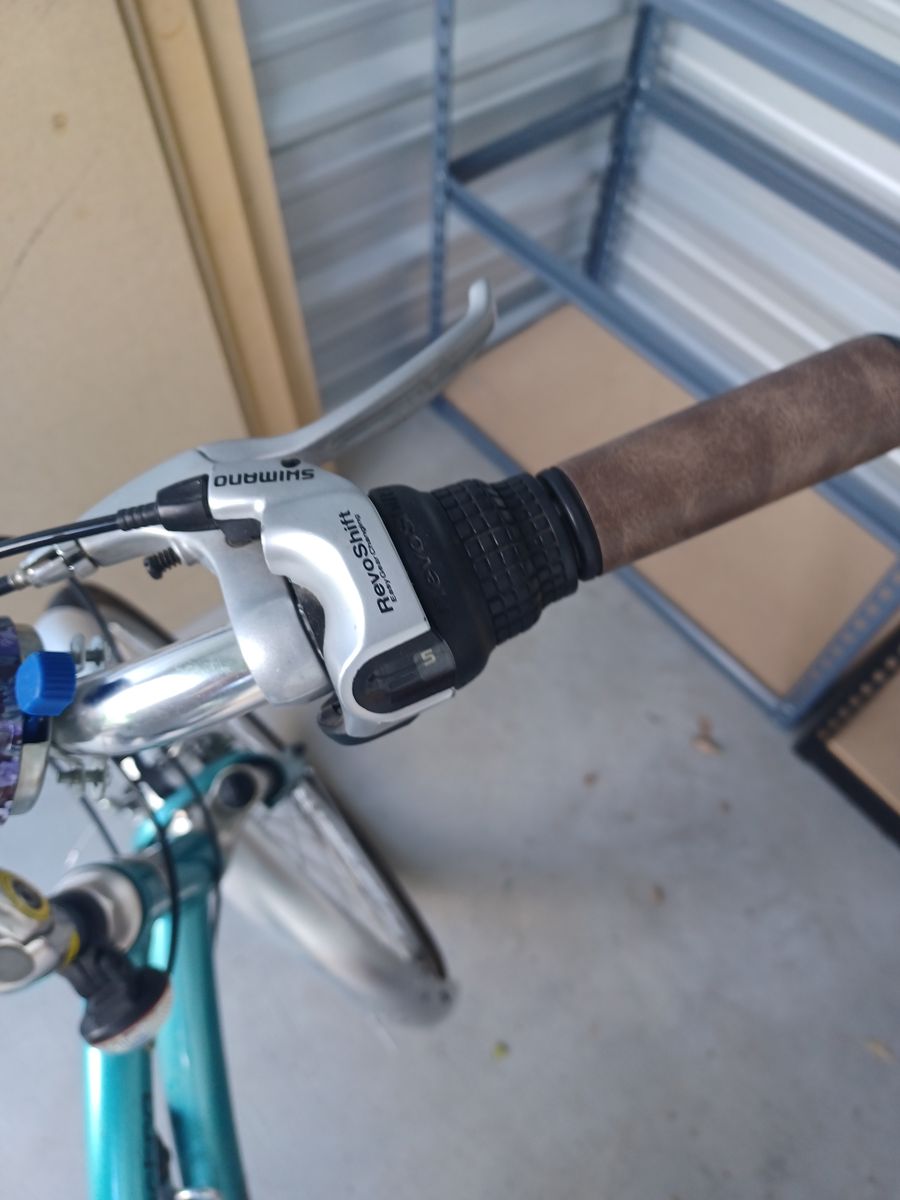 Electra Townie women's bike