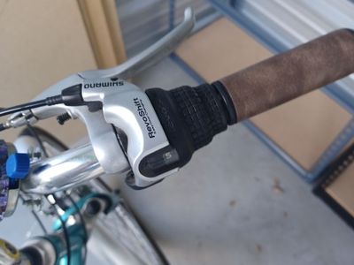 Electra Townie women's bike