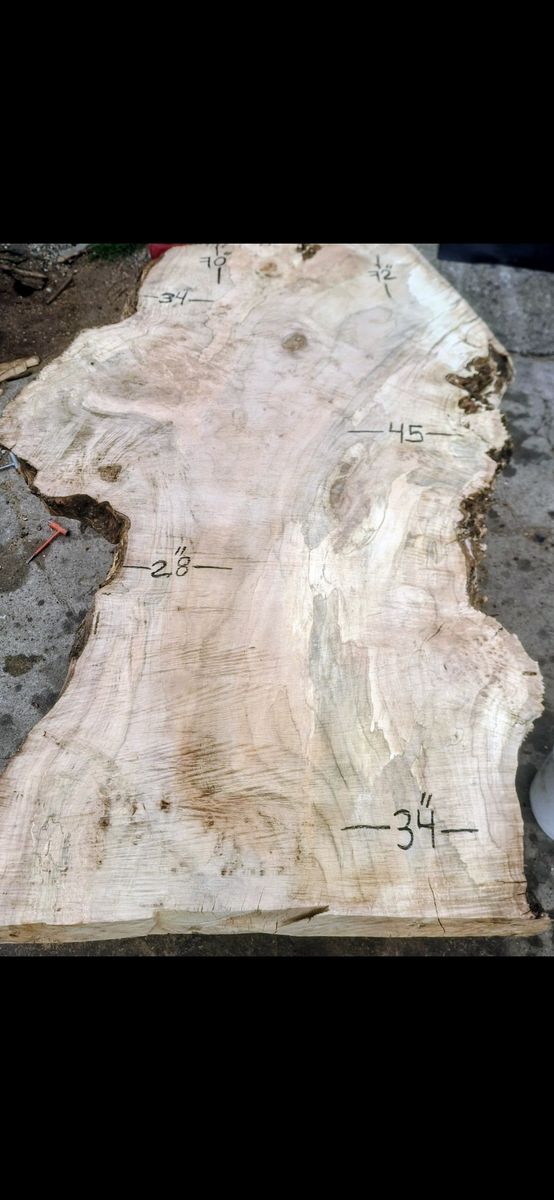 4" thick Spalted Maple wood  live edge slab