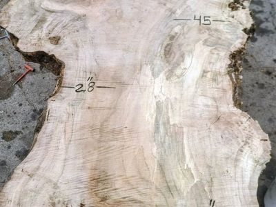4" thick Spalted Maple wood live edge slab