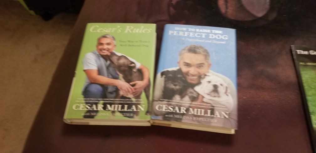 Dog training books, set of 2