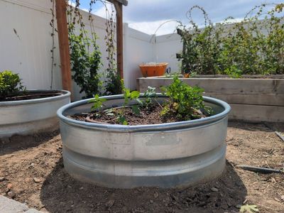 Galvinzed Steel Ring Fire/Planter