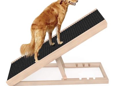 Dog Ramp