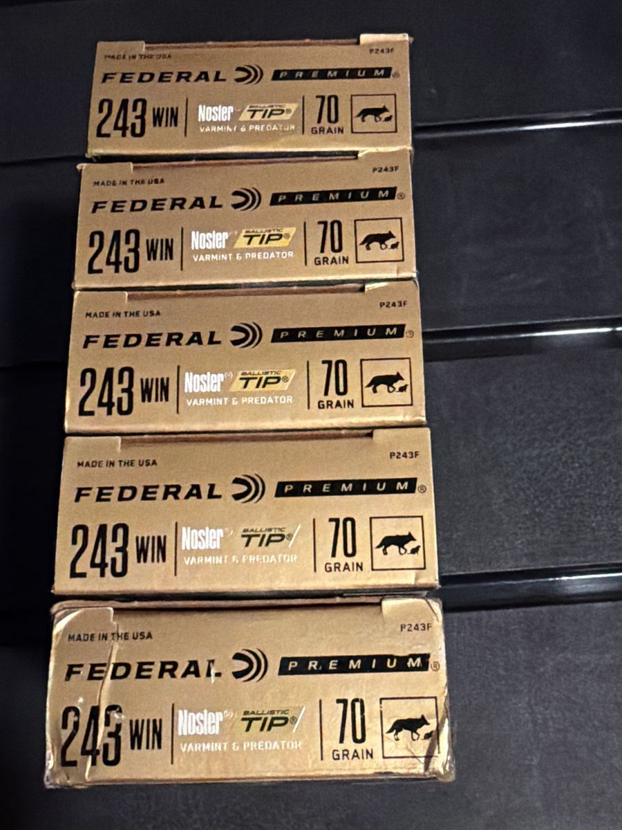 243 Ammo