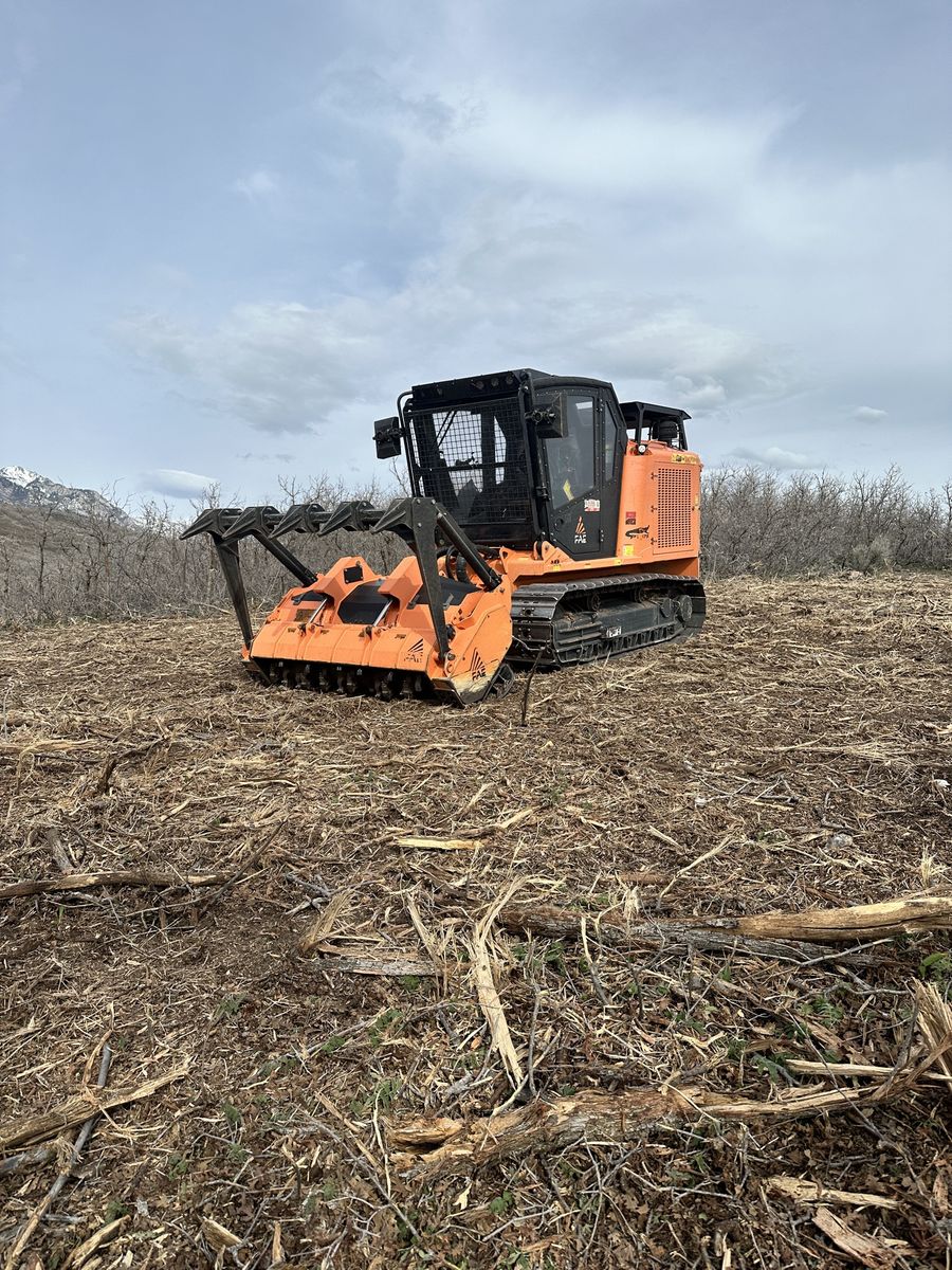 FAE - PT175 Dedicated Forestry Mulcher