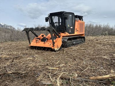FAE - PT175 Dedicated Forestry Mulcher