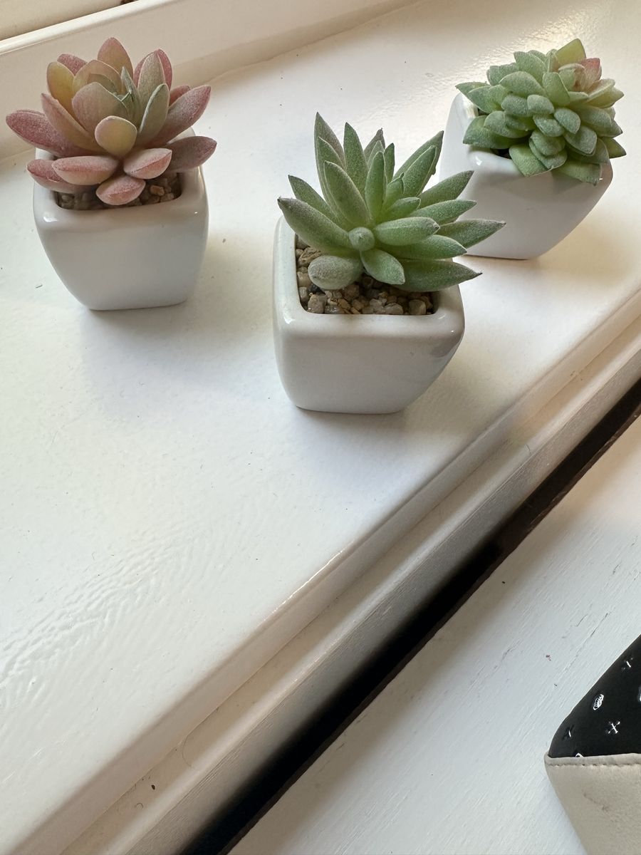 Set of 3 Miniature Artificial Succulents in White Ceramic Pots