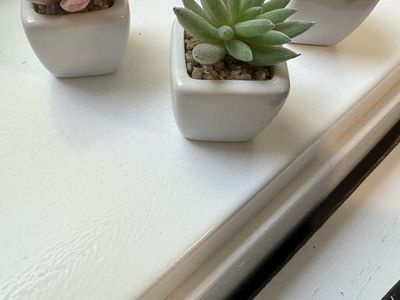 Set of 3 Miniature Artificial Succulents in White Ceramic Pots