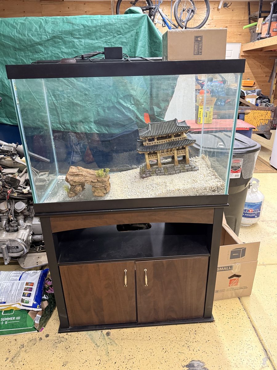 60 Gallon Fish Tank Tall