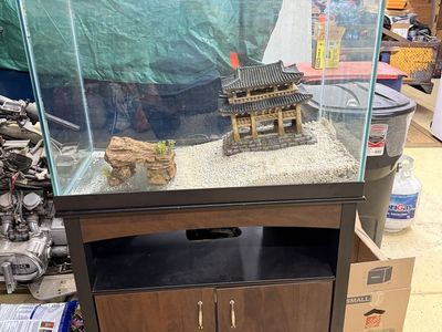60 Gallon Fish Tank Tall