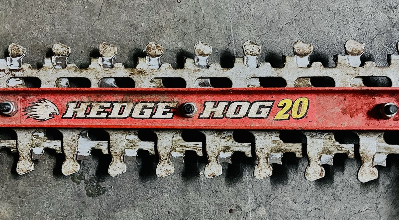 Main image 2