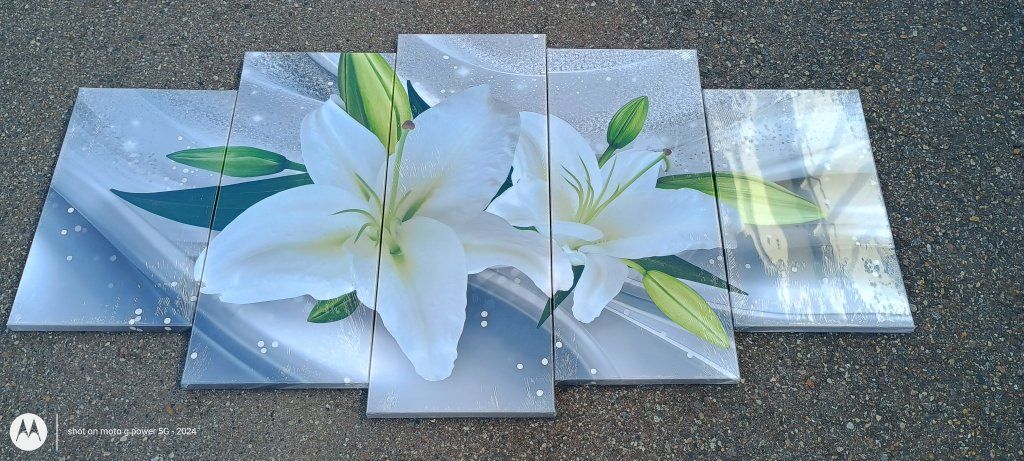new 5 piece white lily canvas wall art set