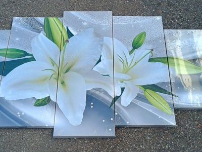 new 5 piece white lily canvas wall art set