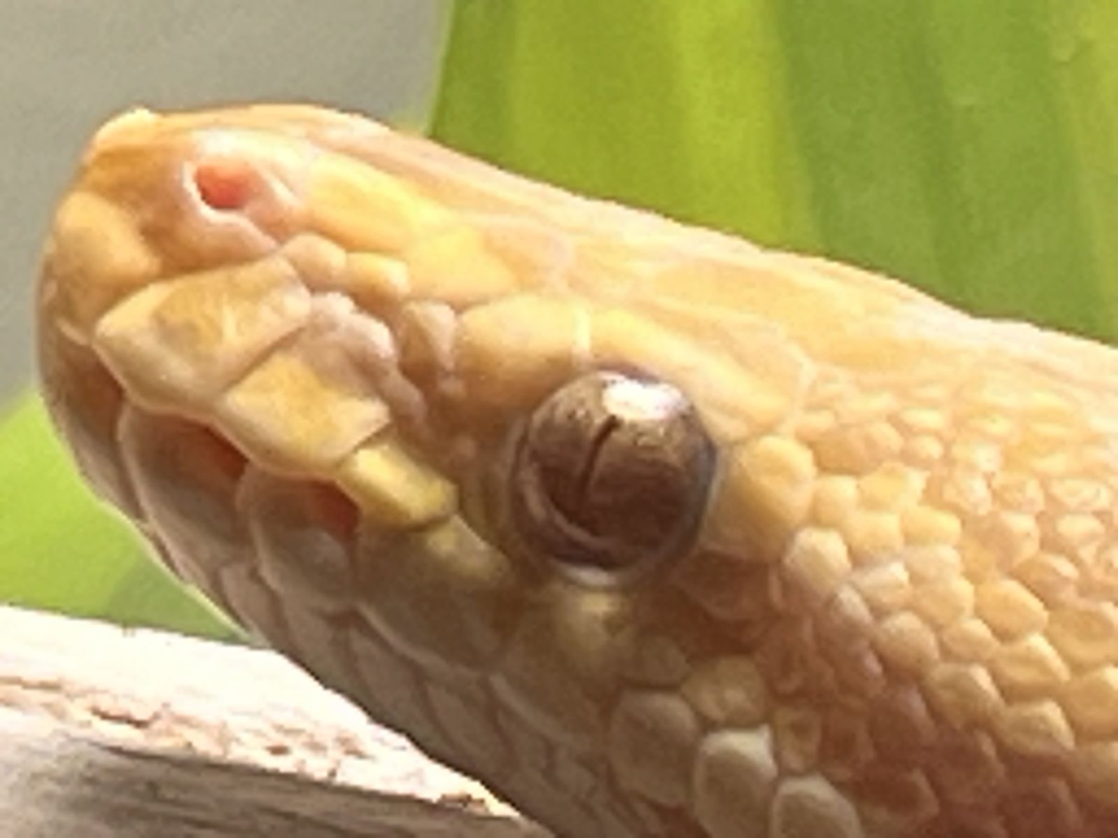 Main image 3