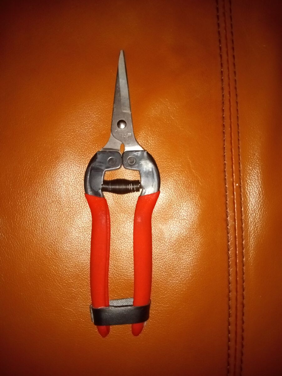 Pruning shears