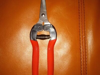 Pruning shears