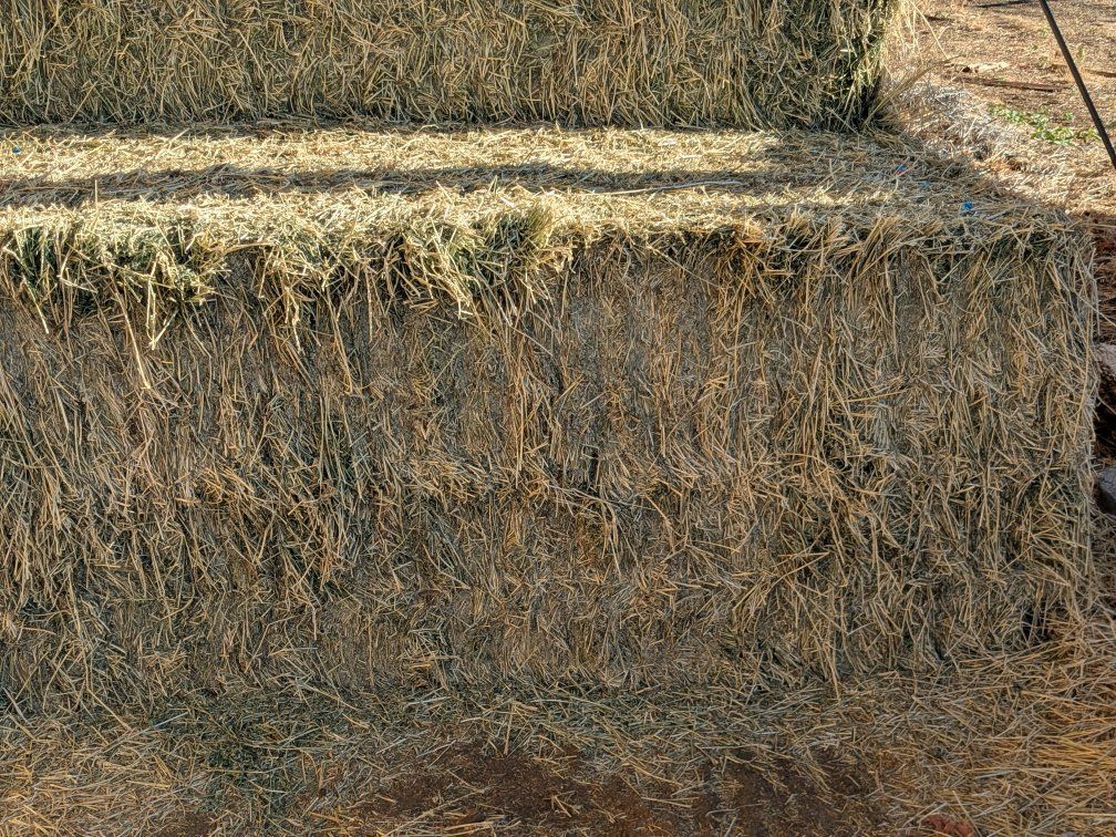 3rd Crop Alfalfa Hay 3x3x8 