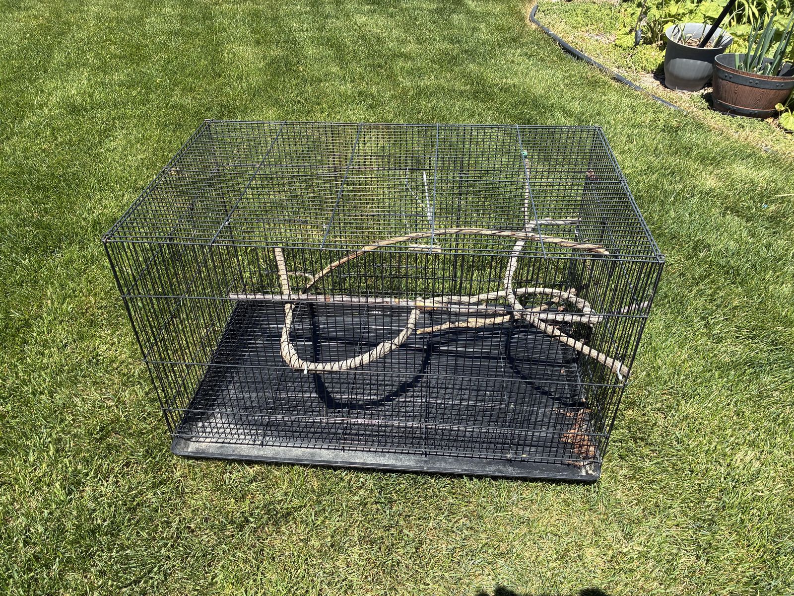 Bird Cages
