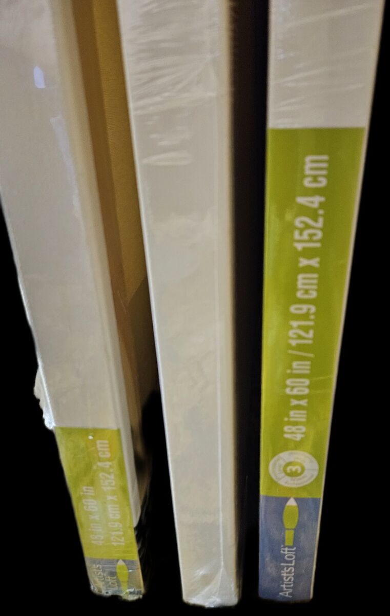 ️$ Reduced 'ArtistLoft' "ONE LEFT" GALLERY CANVAS