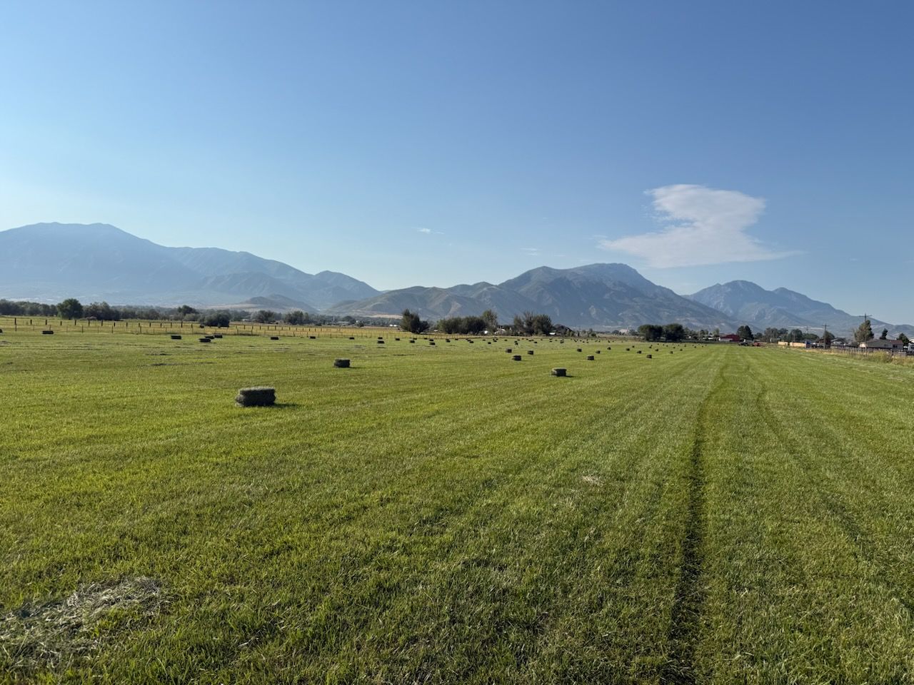 HAY FOR SALE!!  Irrigated Pasture Grass for Sale