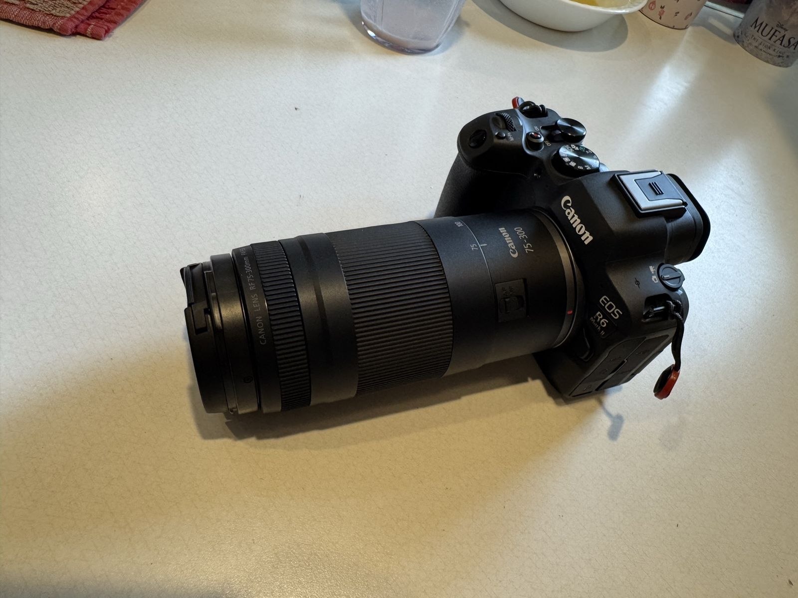 Canon R6 ii with 75-300 rf lense