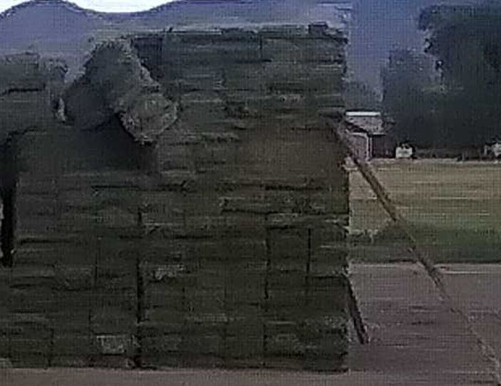 Alfalfa-grass hay mix Small bale 1st cutting