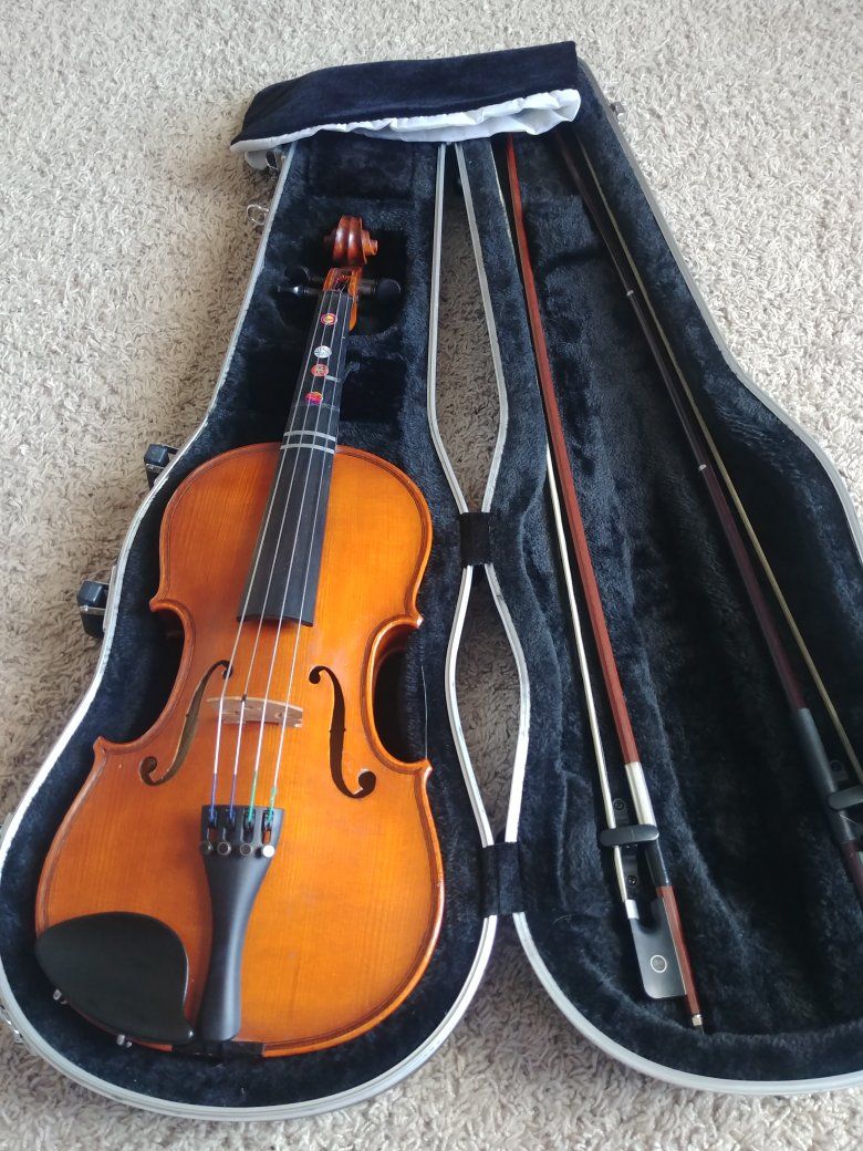 Viola