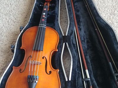 Viola