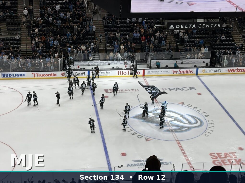 04/16 St Louis Blues at Utah Mammoth - Up to 8 together Available - Full View