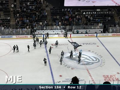 04/16 St Louis Blues at Utah Mammoth - Up to 8 together Available - Full View