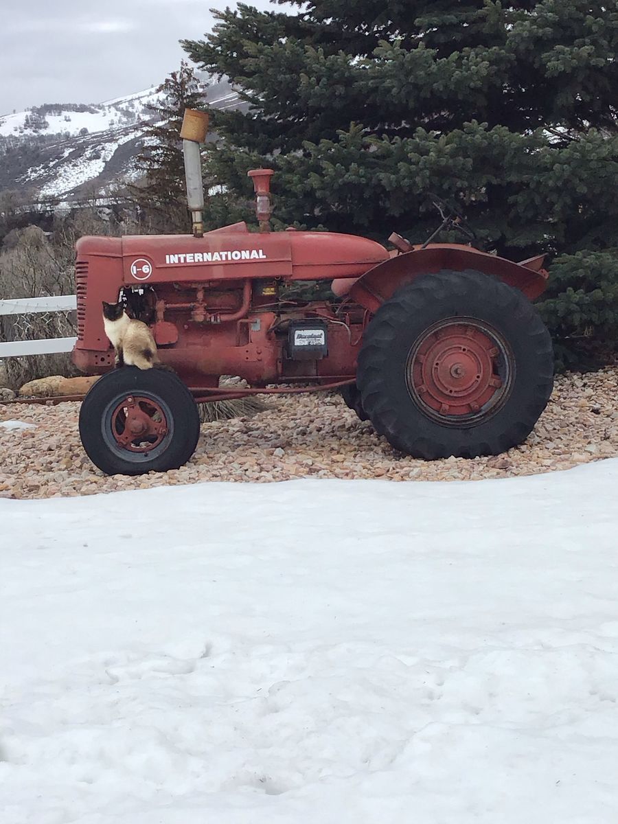 International Harvester tractor